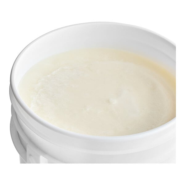 Catania Spagna 100% Organic Coconut Oil - 44 lb. Pail