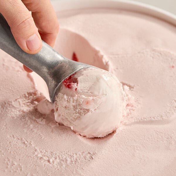 Klein's Real Kosher Vegan Cherry Vanilla Ice Cream 3 Gallon
