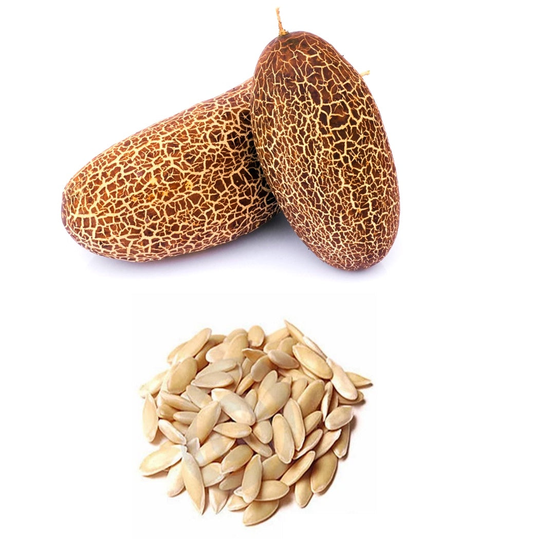 Sikkim Cucumber Seeds 10 Plus Seeds Heirloom Himalayan Variety for Home Gardening