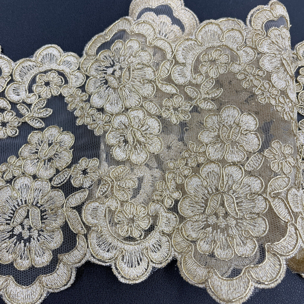 Embroidered Mesh Corded Lace Trim