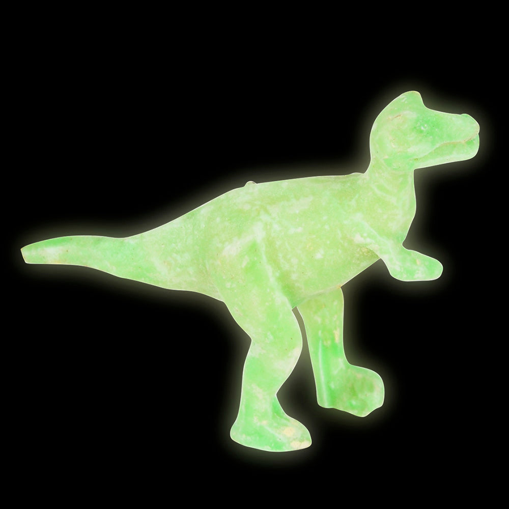 Glow In Dark Dino Dig Set