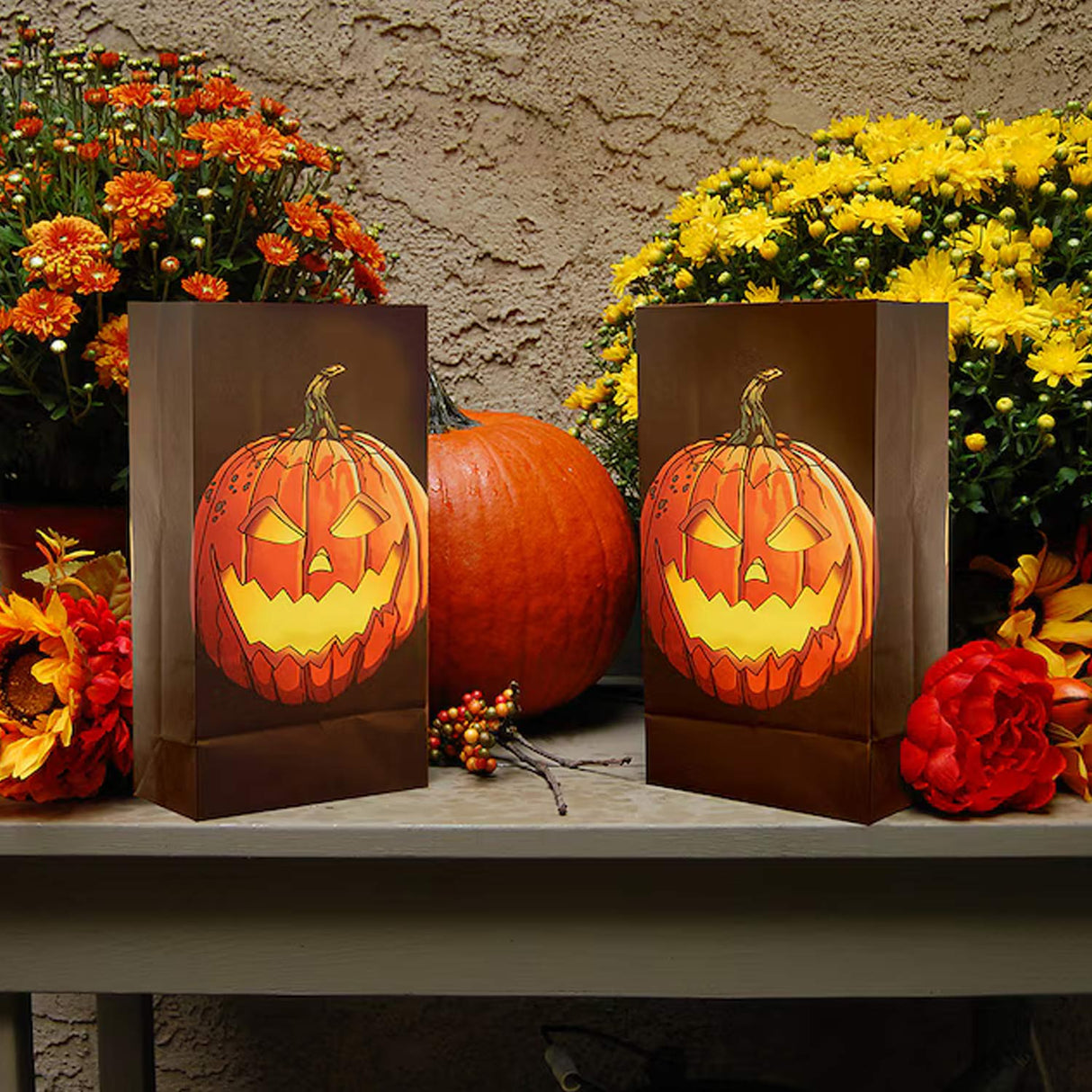 0.83 Feets Freestanding Jacko Lantern Luminaria 24 Pack