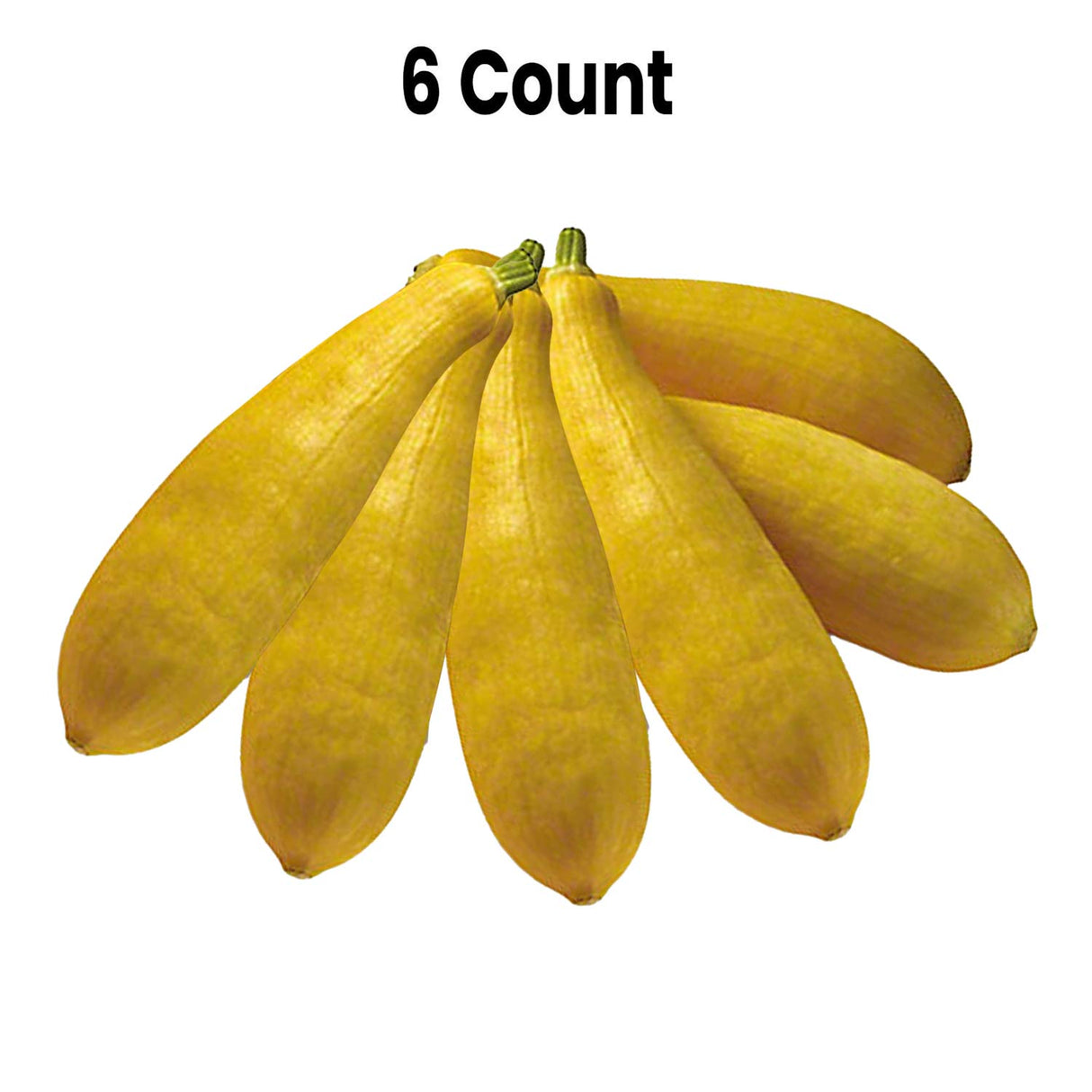 Radyan Fresh Yellow Squash