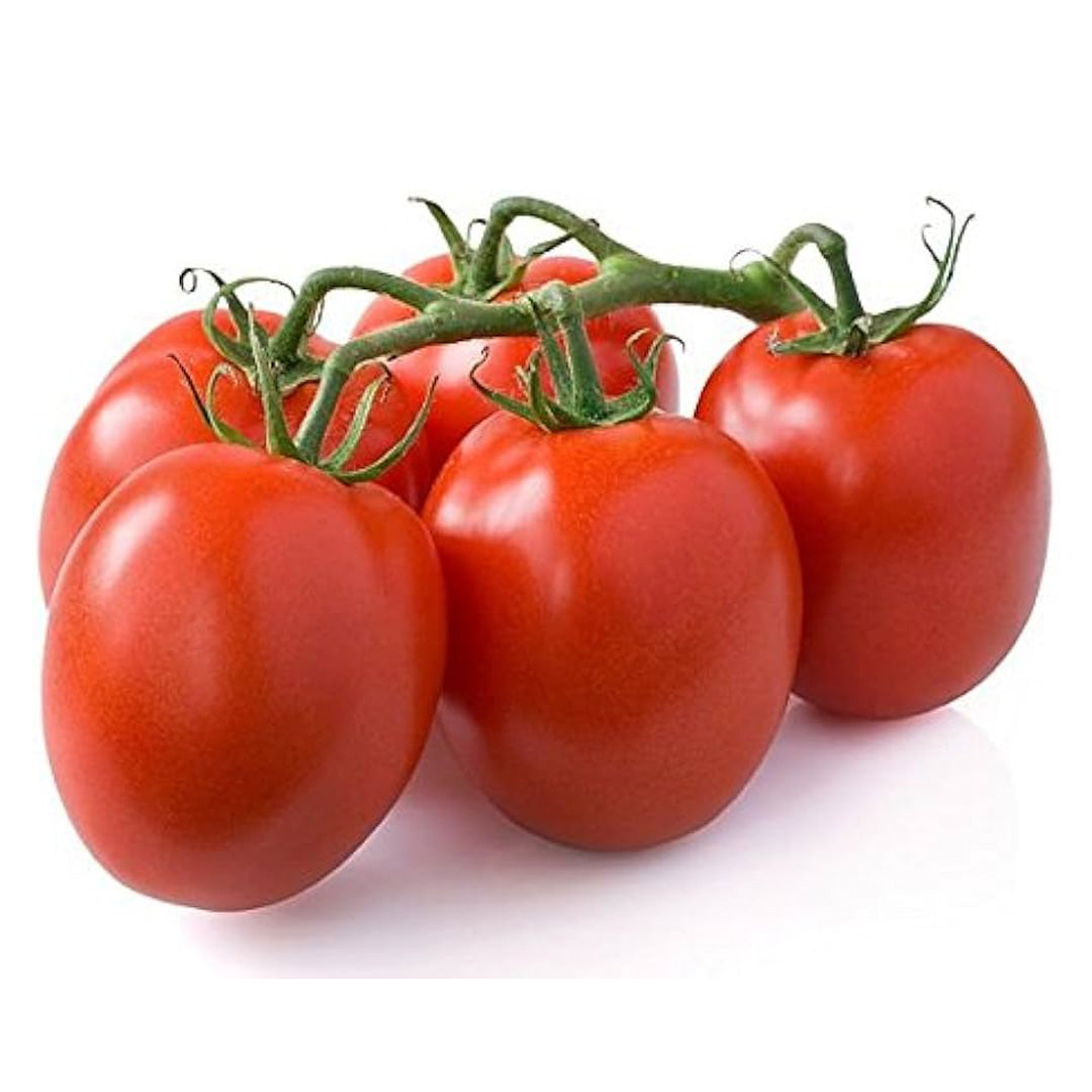 Roma Tomato Heirloom Seeds Paste Tomato Non GMO Open Pollinated Seed Packet