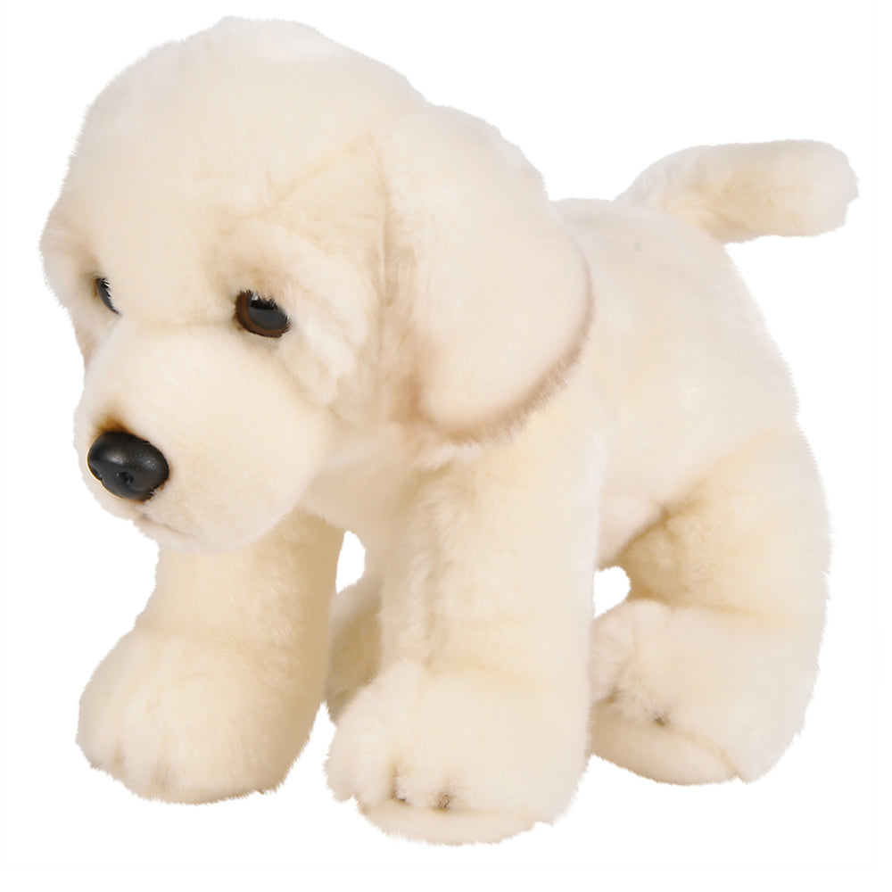 Floppy Golden Retriever Plush (1 PC)