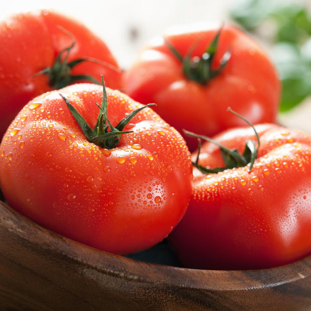 Marglobe Tomato Seeds Organic Non GMO Heirloom Fresh USA Grown Seeds Grow Your Own Tomatoes at Home