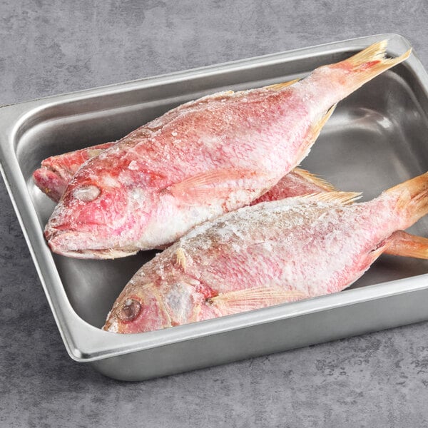 Deep Sea Atlantic 12-16 oz. Whole Caribbean Red Snapper 10 lb.