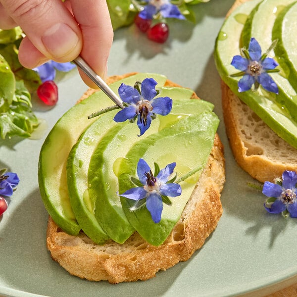 Fresh Origins Borage Blossom Edible Flowers - 100/Case