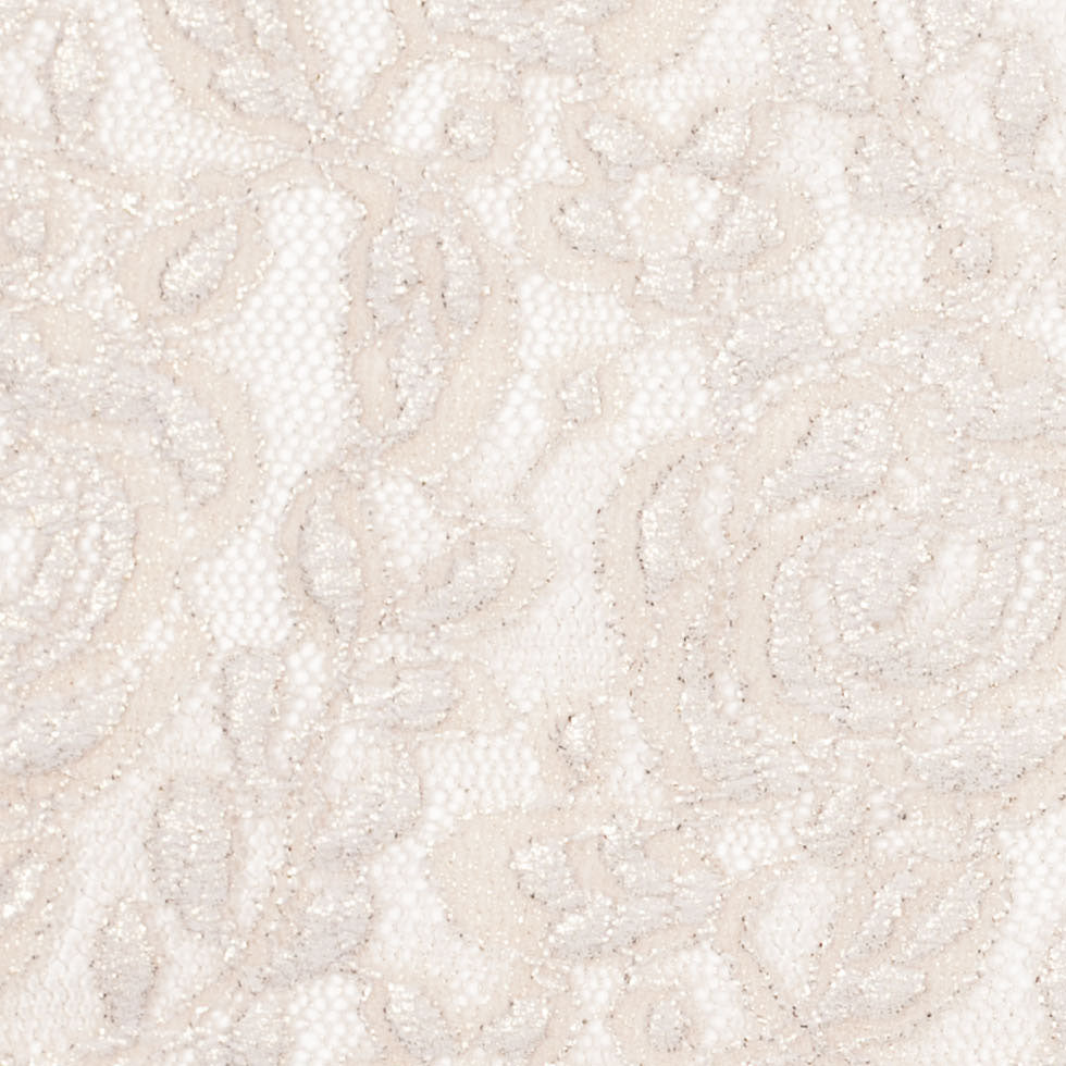 Metallic Coated Gold/Beige Floral Nylon Lace