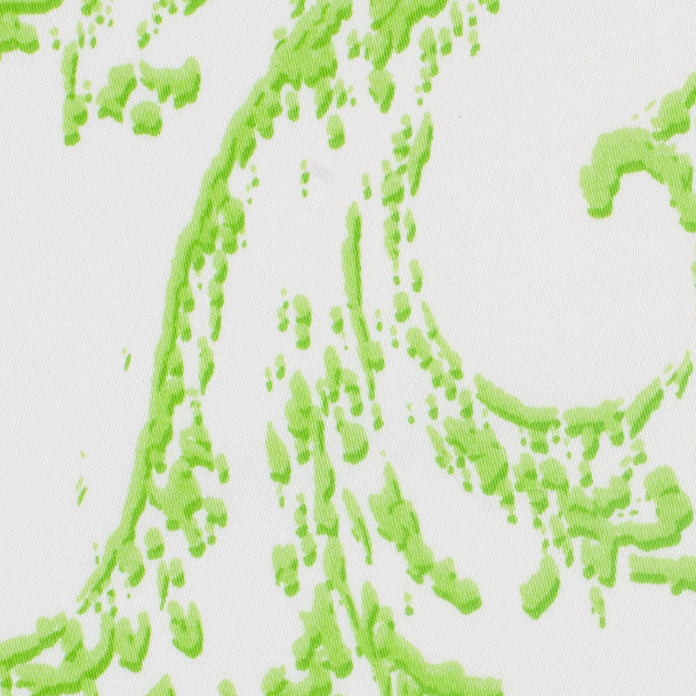 Lime Green and White Abstract Scroll Cotton Sateen Woven