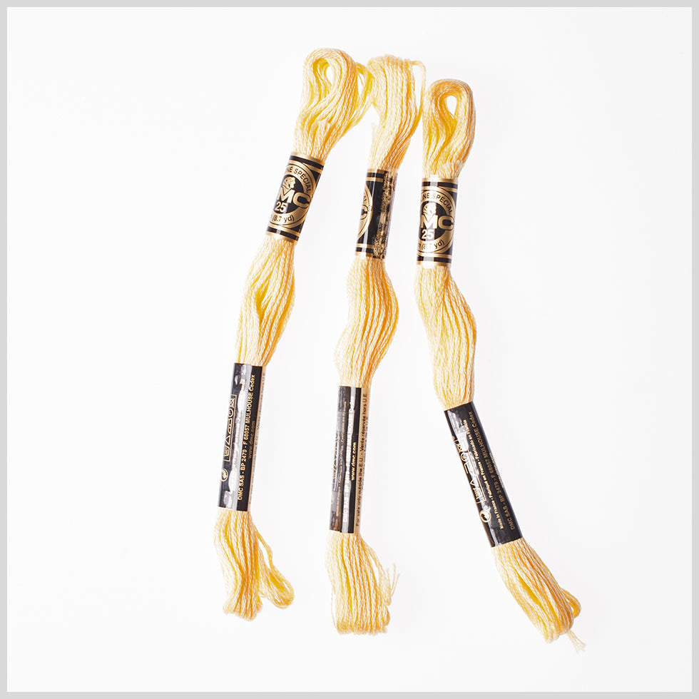 3-Pack DMC Size 6 Embroidery Floss #744 Golden Haze