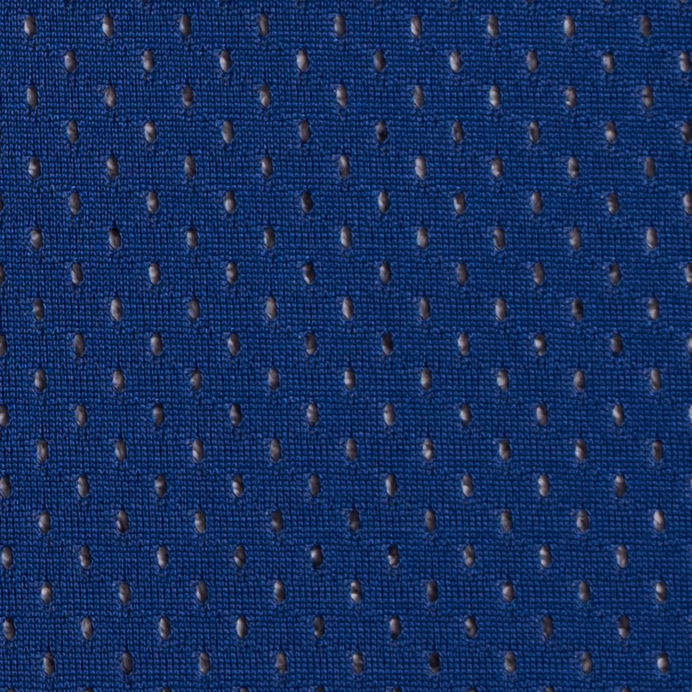Polyester Athletic Mesh - Royal Blue 100 Denier