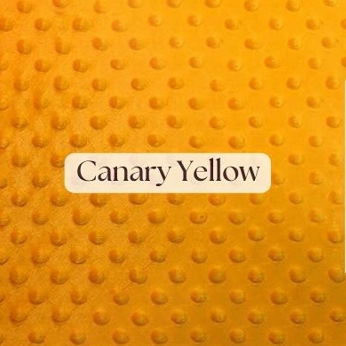 1 Yard Ultra Soft Minky Dot Fleece Plush Fabric 100 Percent Polyester for Crafts 60 Inch Width