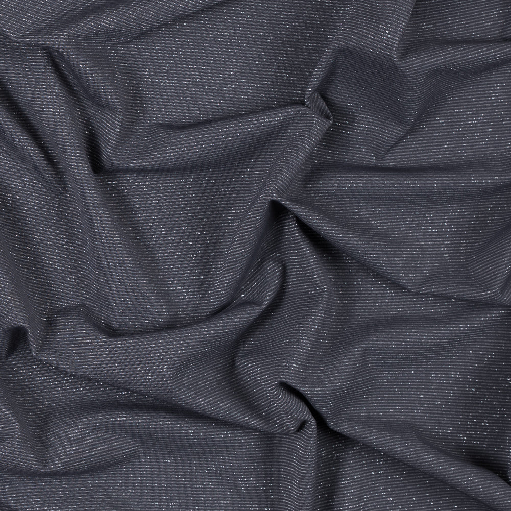 Gray and Metallic Silver Striped Stretch Nylon Jersey