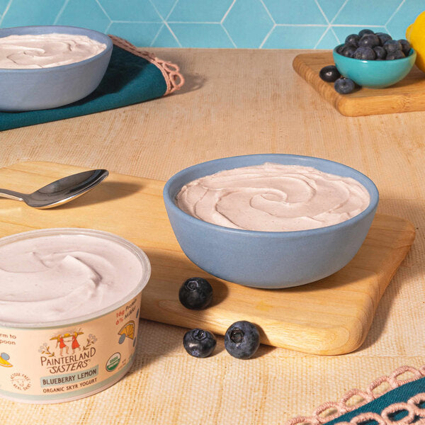 Painterland Sisters Blueberry Lemon Organic Skyr Yogurt Cup 5.3 oz. - 8/Pack
