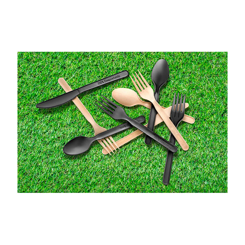 Packnwood PLA Cutlery Spoon, 4.92", Case of 1000