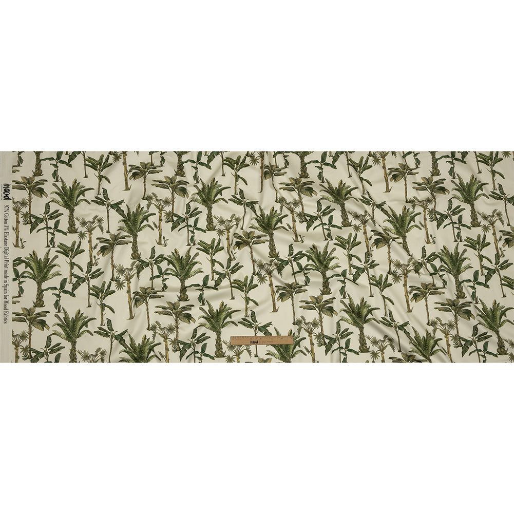 Mood Exclusive Ivory Heart of Palm Stretch Cotton Sateen
