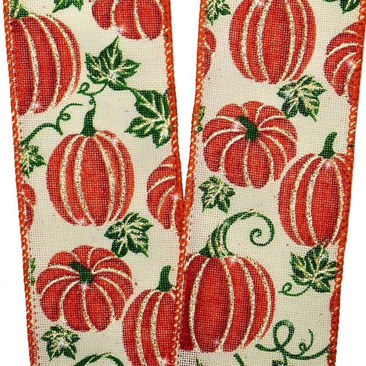 Pumpkin Patch Natural Wired Ribbon 2.5" x 10 Yards
