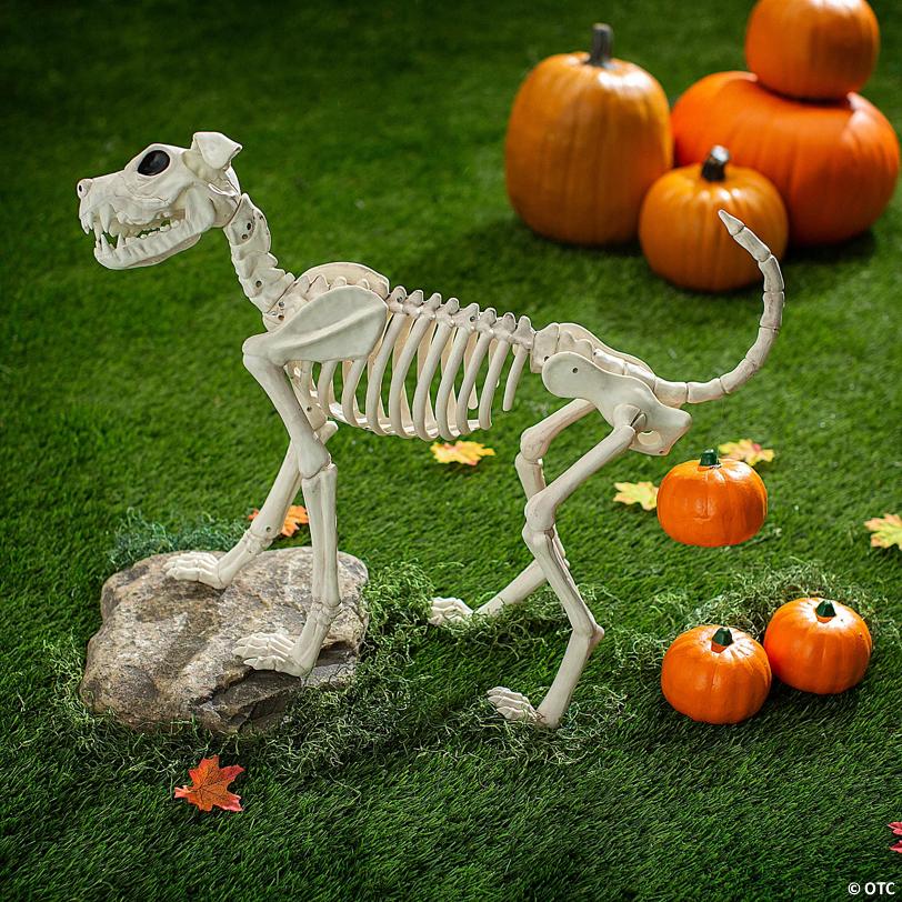 36" x 21" Dog Skeleton Pooping Pumpkins Halloween Decorating Kit – 4 Pc.