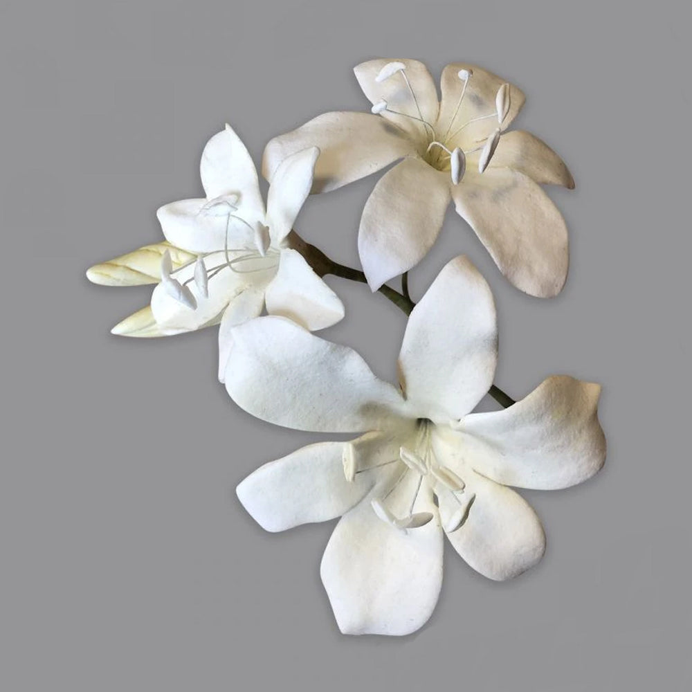 FMM Sugarcraft Bridal Lily Cutter Set, Includes 3 cutters and 1 form