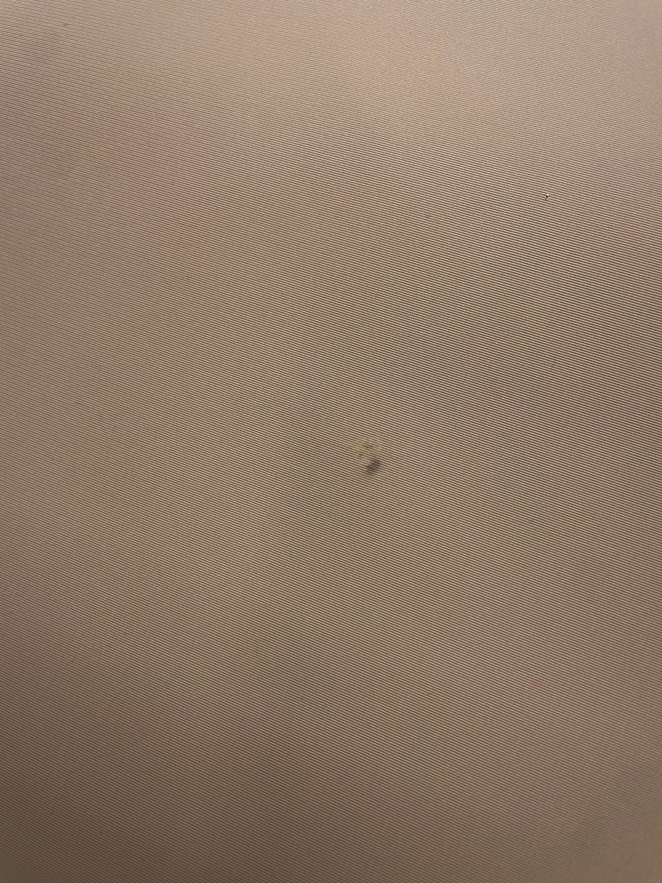 Water-Repellent Beige Polyester Fabric