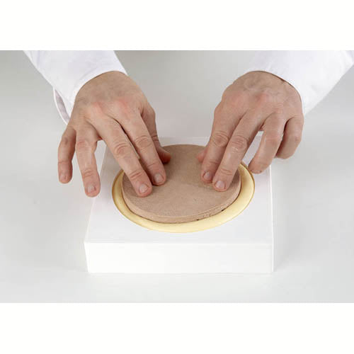 Silikomart Silicone Cylinder Mold 100mm x 50mm High (3-7/8" x 2")