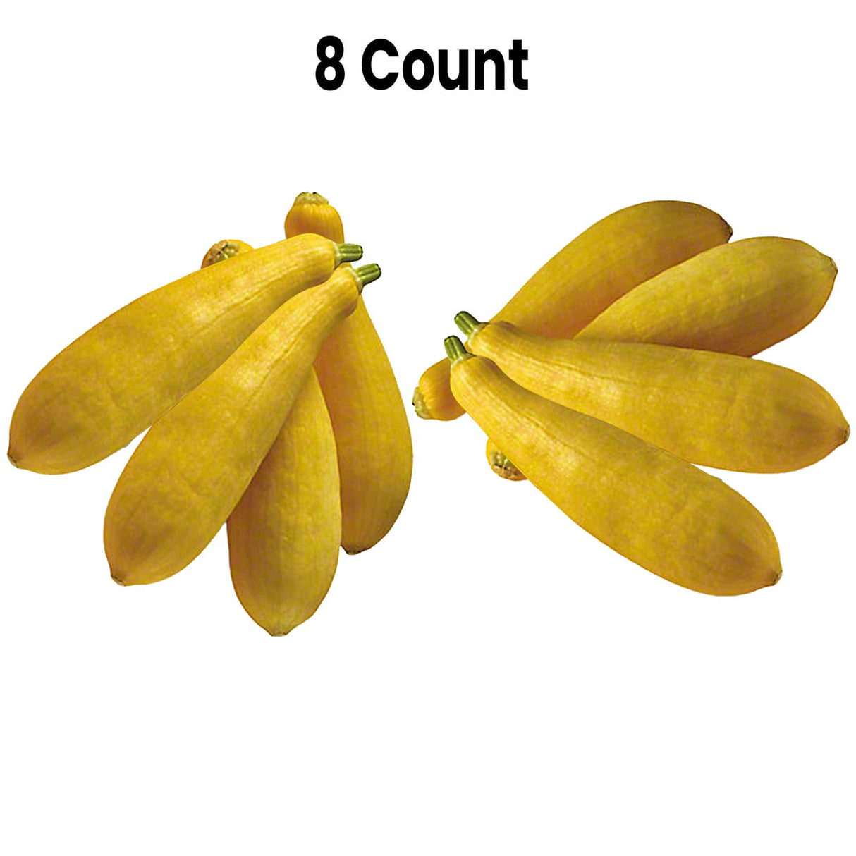 Radyan Fresh Yellow Squash