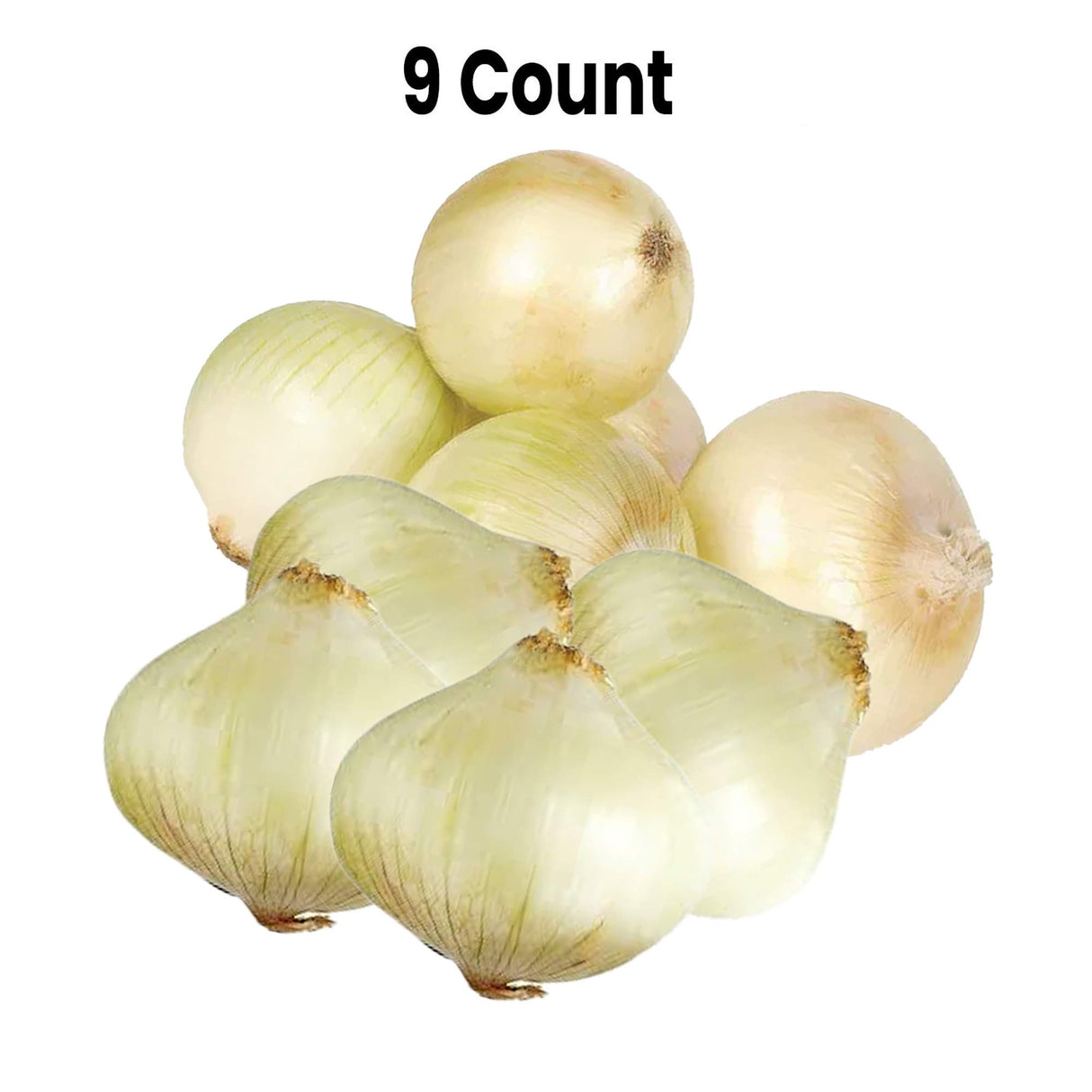 Radyan Fresh Sweet Onion