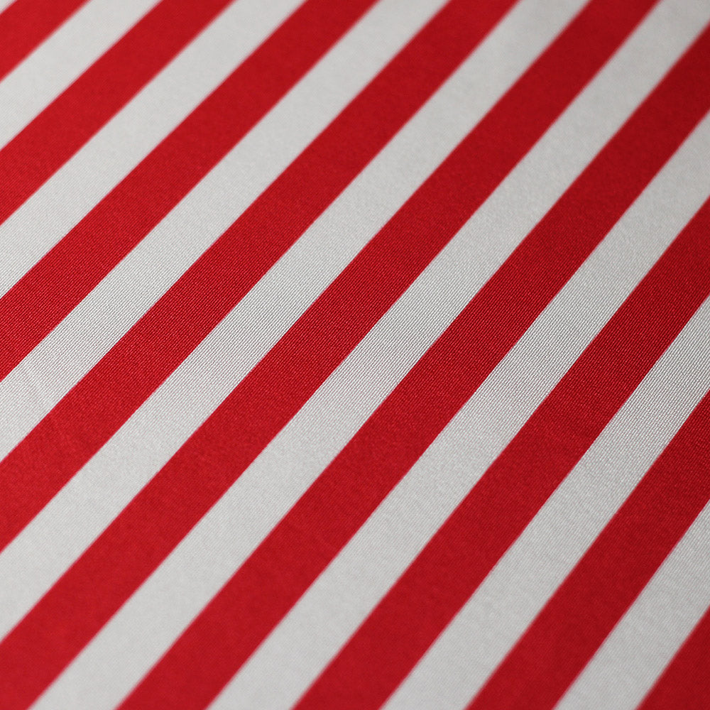 Lucky Stripes Polyester Spandex Fabric - Multi Stripe Print, 58/60" Width (1 Yard)