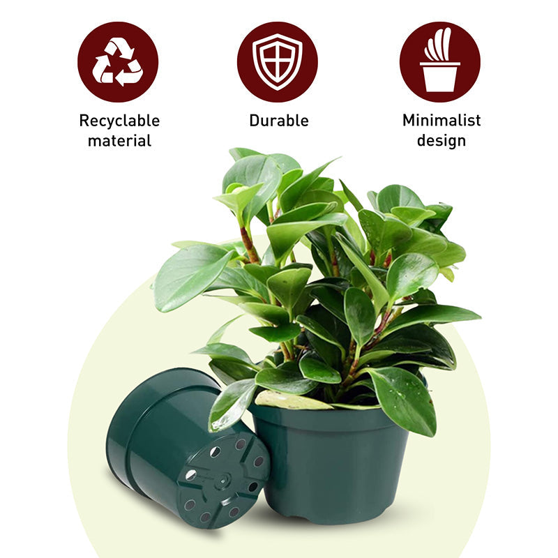 Dillen 4" Round Pot