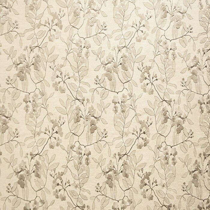Ariana Fabric Soft and Stylish