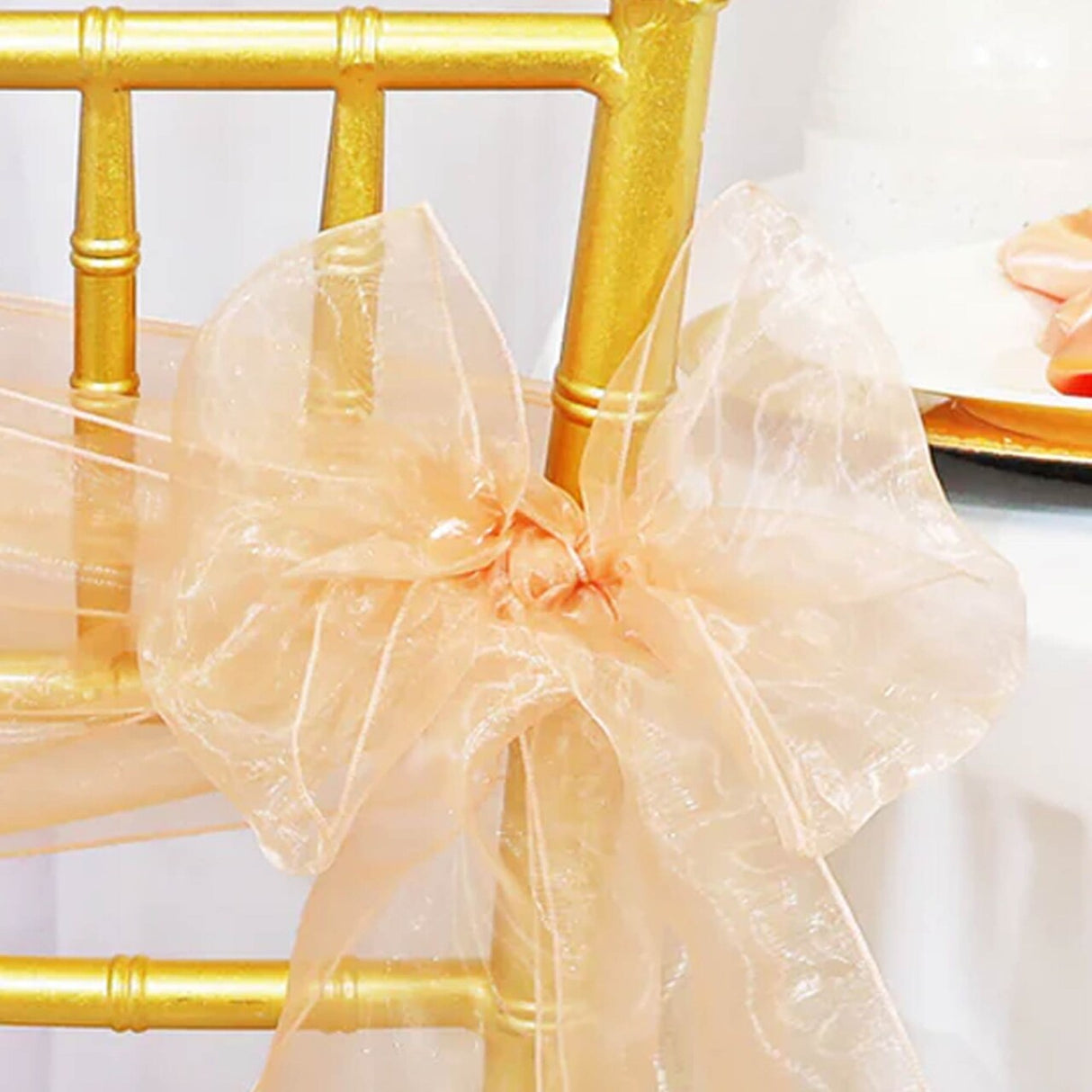 10 Pieces Apricot Peach Organza Chair Sashes 8"x108" Elegant Sheer Decor for Weddings & Events