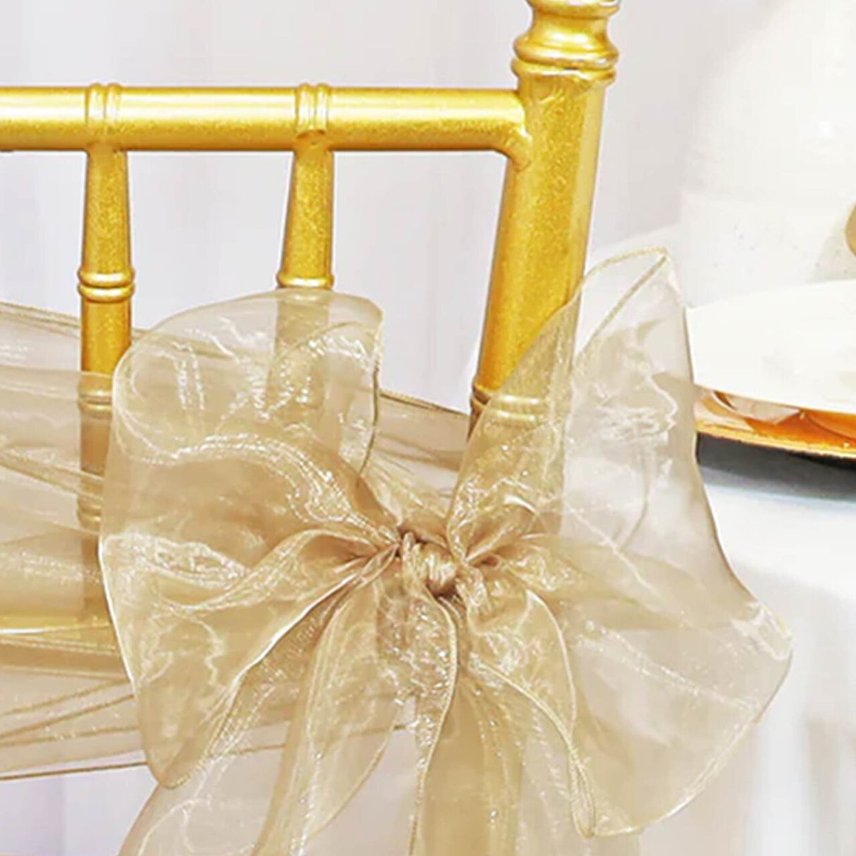 10 Pieces Champagne Organza Chair Sashes 8"x108" Sheer Elegant Chair Decor for Weddings & Events
