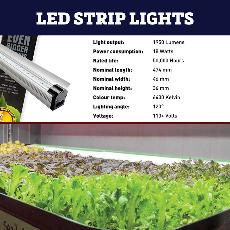 SunBlaster 18" LED Light Strip 6400K