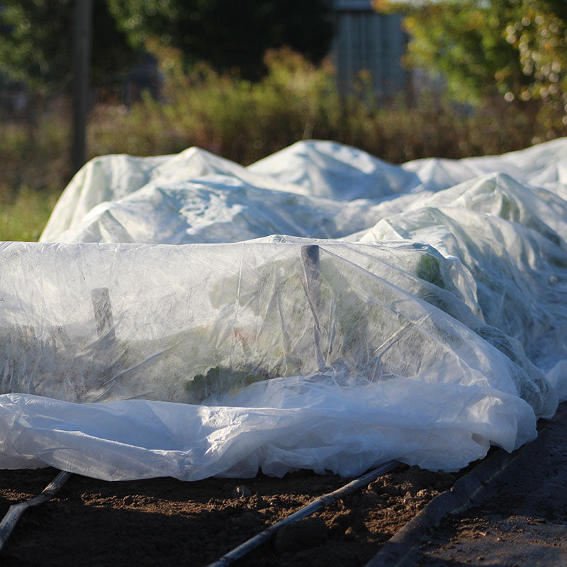 Row Cover Agribon AG-15 118" x 50'