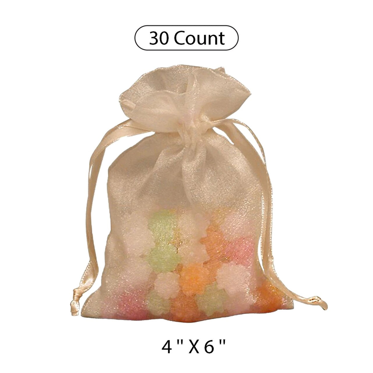 Elegant Crystallized Gift Bag 4" x 6"