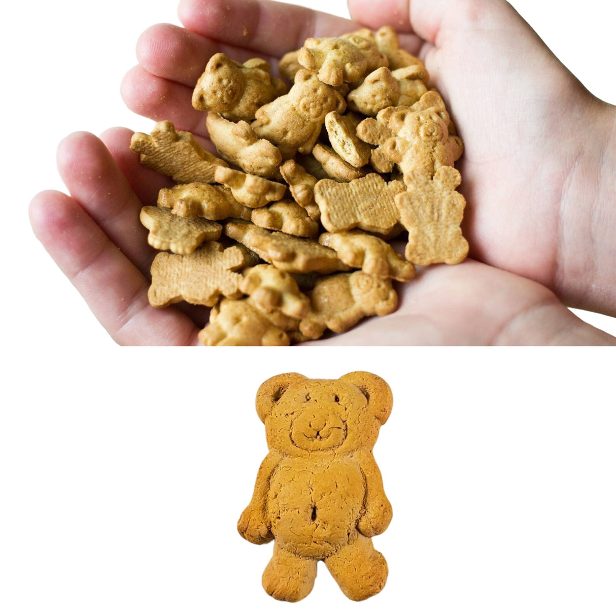 Teddy Bear Cracker Multi Cutter 1 1/8 in PC0472