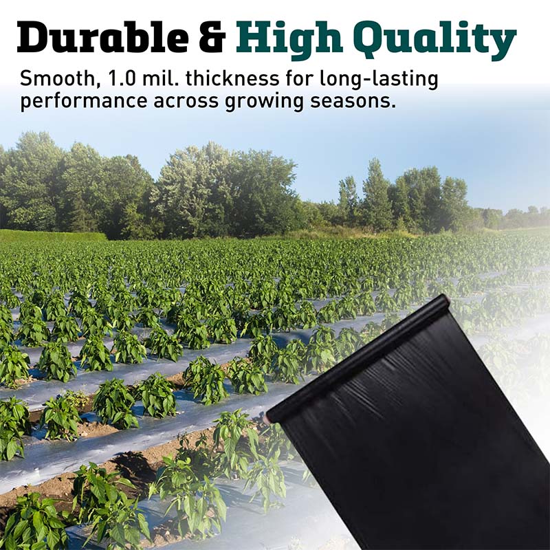 Black Plastic Mulch 3' x 4000'