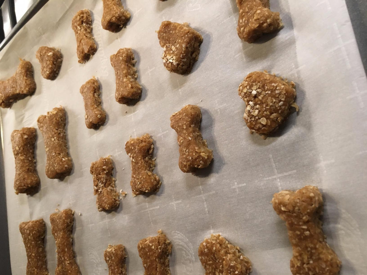 DOGGIE TREAT KIT 4 PC DT601