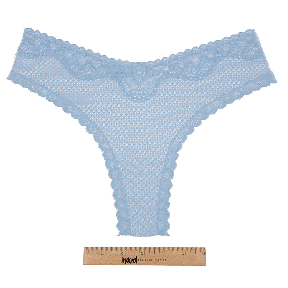 Sky Blue Stretch Lace Panty Trim Panel - 10.25" x 14.25"