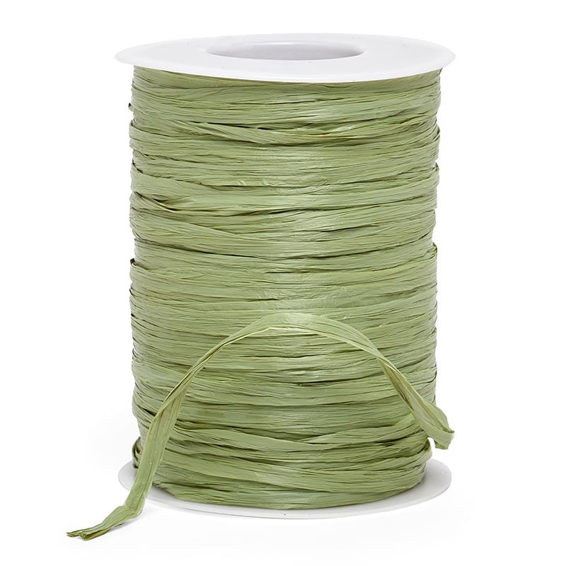 Colored Matte Raffia Ribbon 1/4 '' X 100 yd Sage Color 1 / roll