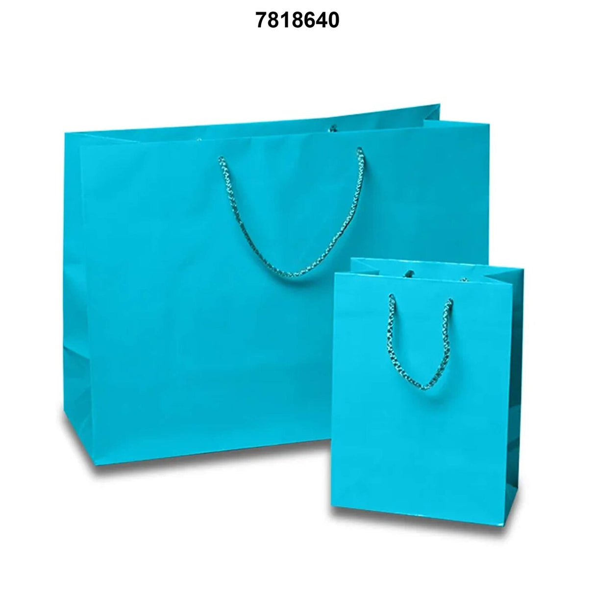 Vivid Glossy Paper Bags 8'' x 4'' x 10'' for Gift Presentation