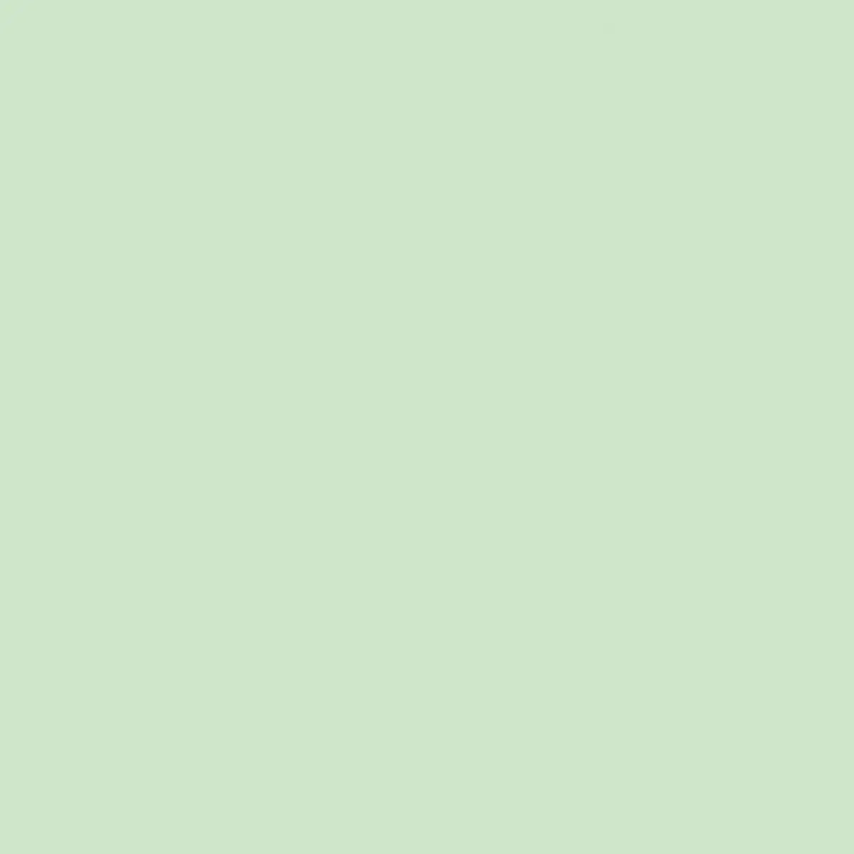 Cotton Quilting Fabric Hint of Mint 43/44"
