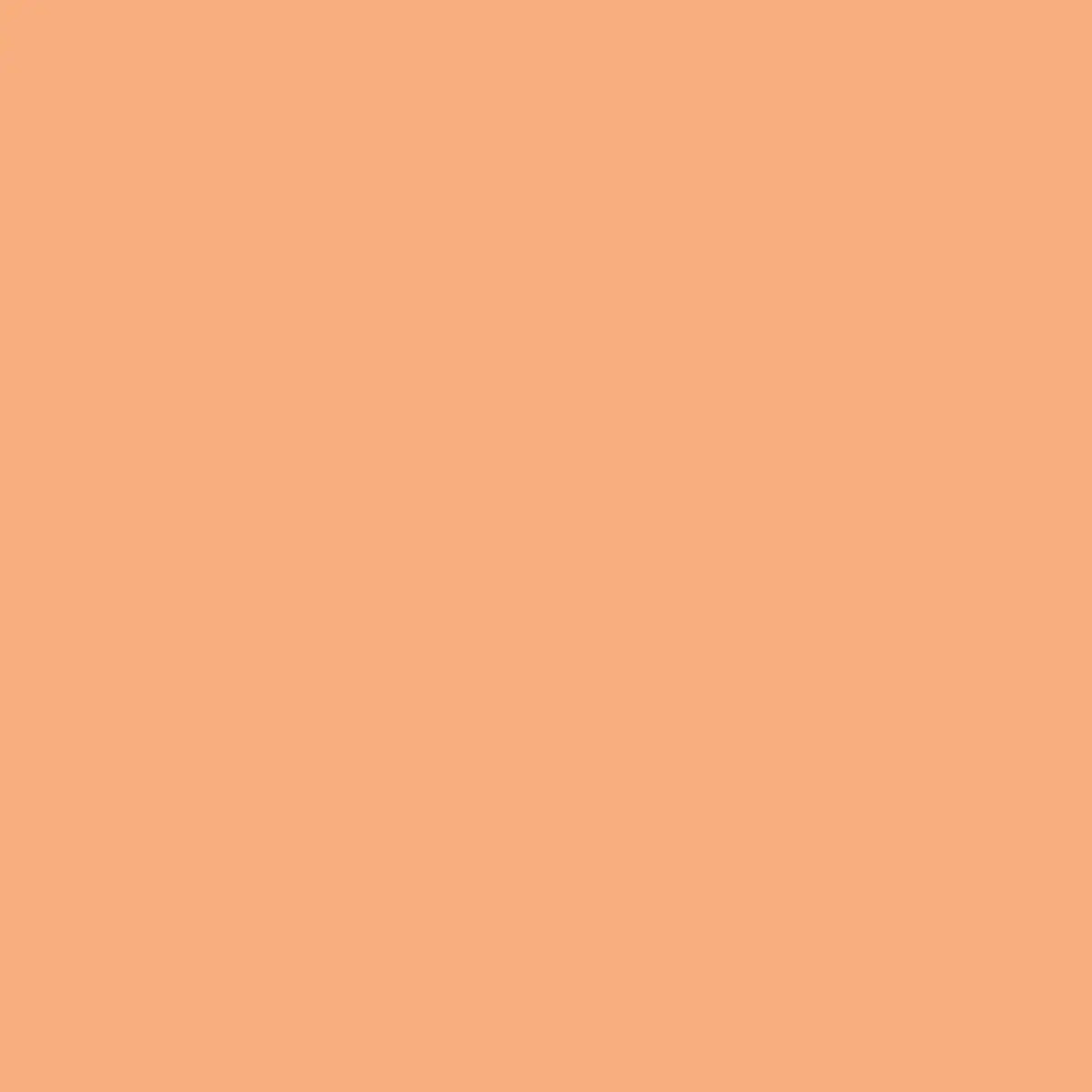 Cotton Fabric Orange Confetti Cottons Marmalade 43/44"