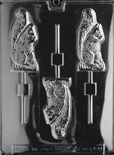 Squirrel Lollipop Chocolate Mold