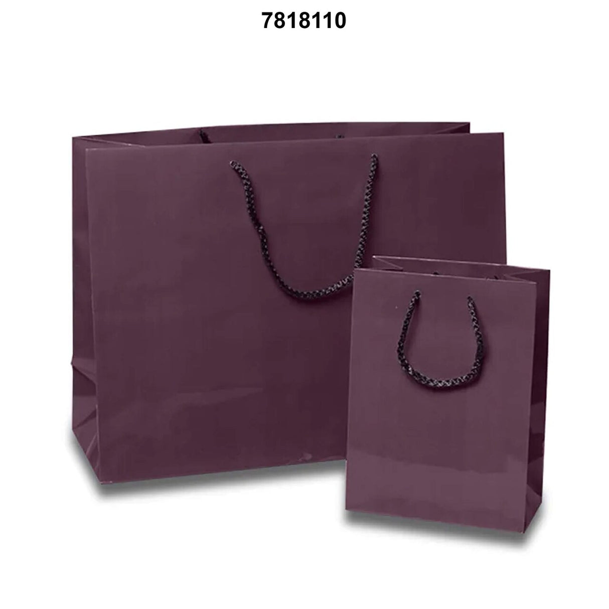 Sleek and Compact Glossy Euro Totes 4 3/4'' x 2 3/4'' x 6 3/4''
