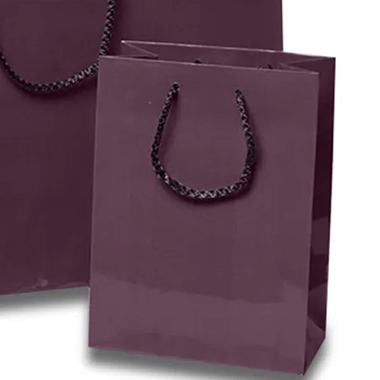 Sleek and Compact Glossy Euro Totes 4 3/4'' x 2 3/4'' x 6 3/4''