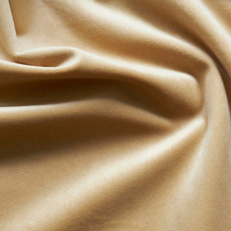 1 Yard Giselle Plush Velvet Fabric Luxuriously Soft & Richly Textured 100% Polyester, 55" Wide