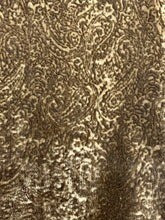 1 Yard Griffin Velvet Upholstery & Drapery Fabric