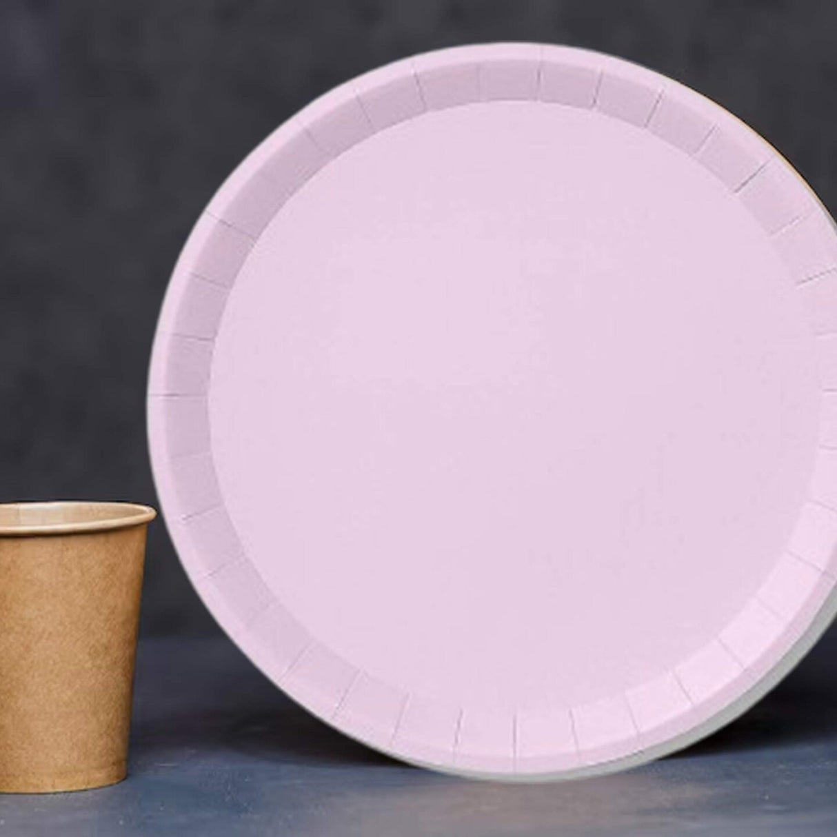 10 Count Lavender Large Paper Plates 9.25 Inch Pastel Party Plates for Meals and Celebrations